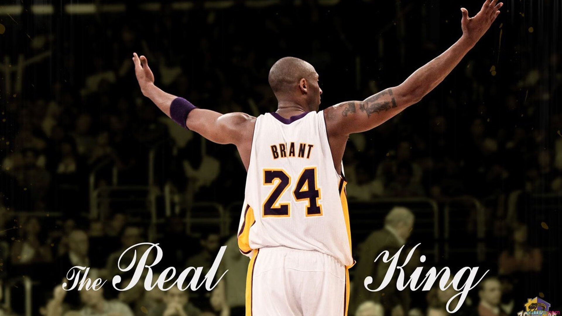 【文化交流】全球不同国家台球比赛风采展示,台球全球排名