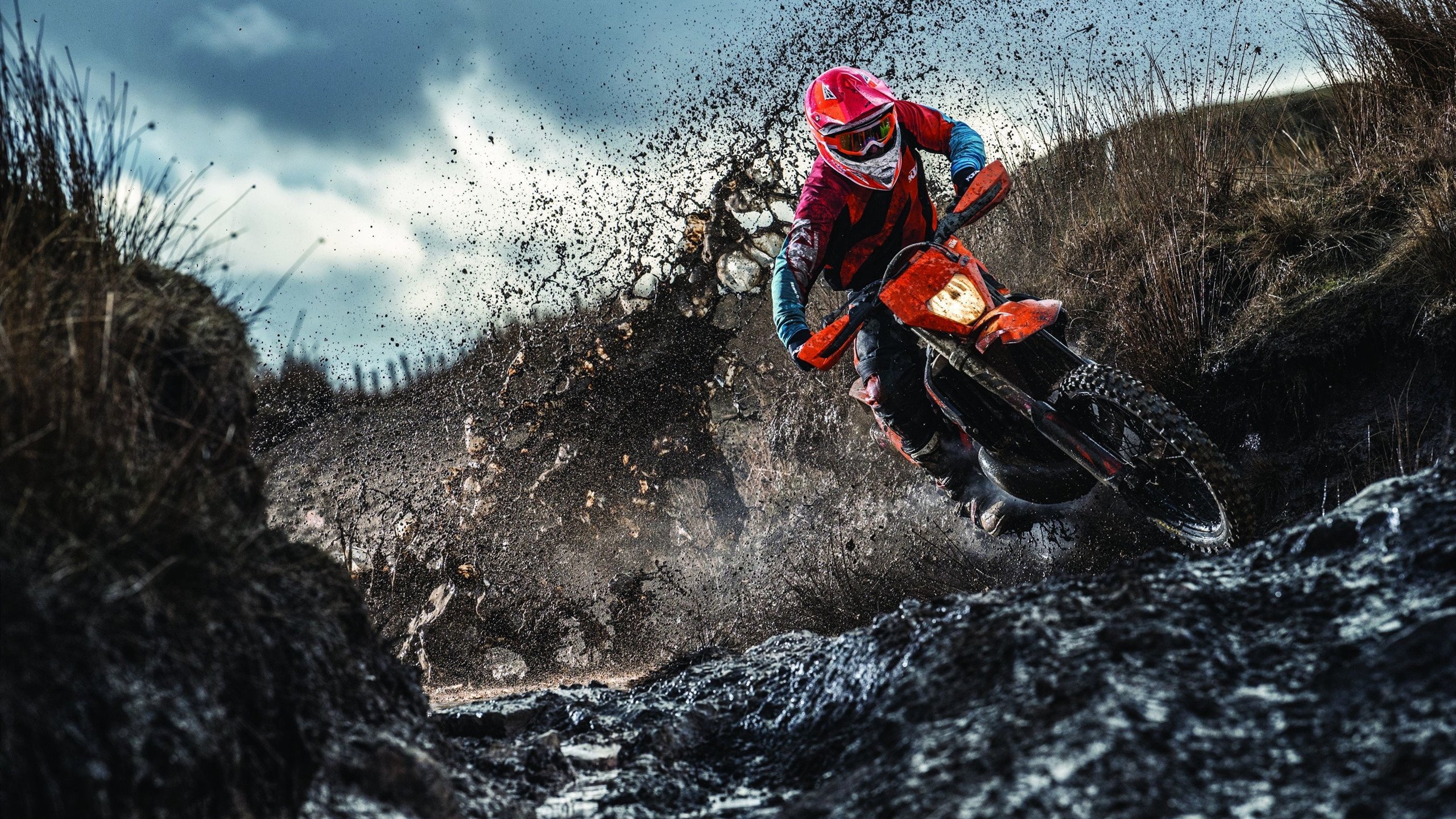 哥伦比亚骑手胡利安娜·古铁雷斯在2024年巴黎奥运会盛装舞步比赛中取得第25名，展现出色表现。